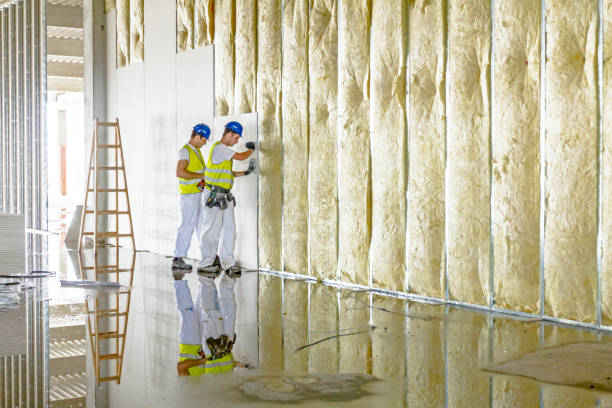 Best Best Insulation Companies  in Big River, CA